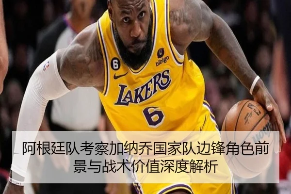阿根廷队考察加纳乔国家队边锋角色前景与战术价值深度解析