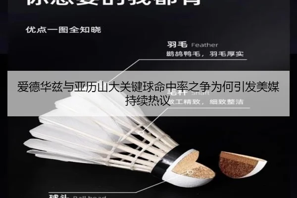 爱德华兹与亚历山大关键球命中率之争为何引发美媒持续热议